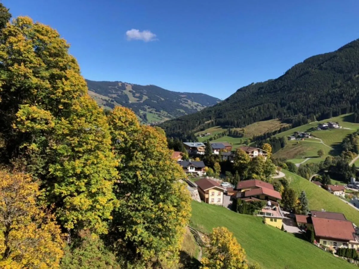 Glemmtal Apartment Saalbach-Hinterglemm Austria